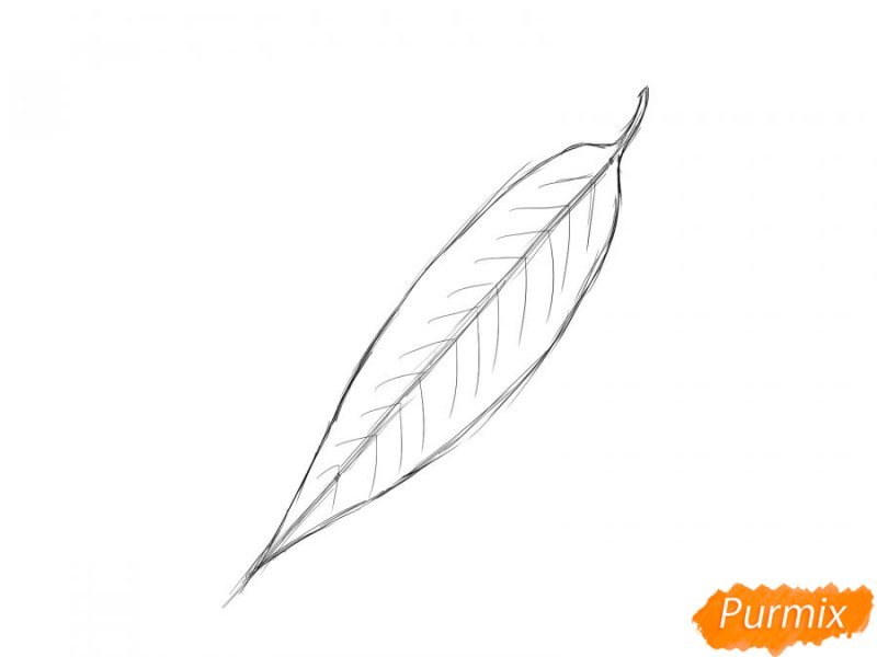 Лист ивы шаблон