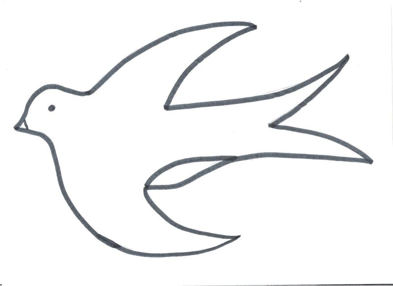 Трафарет птицы для рисования детям