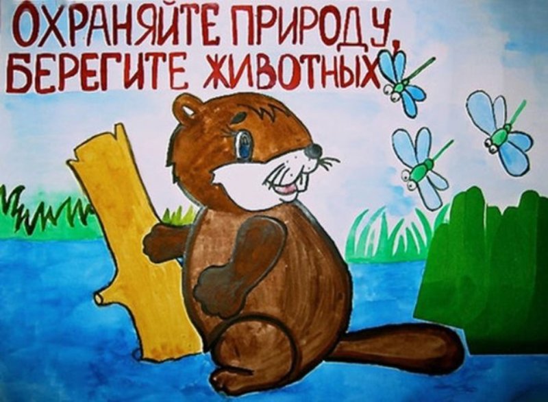 Плакат на тему берегите животных