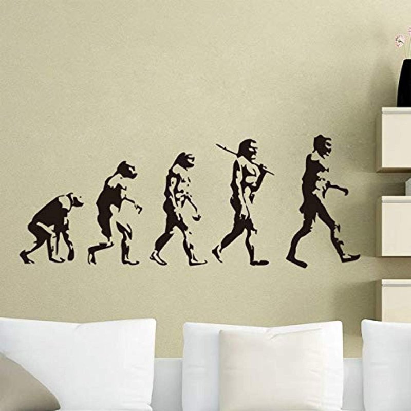 Эволюция стен