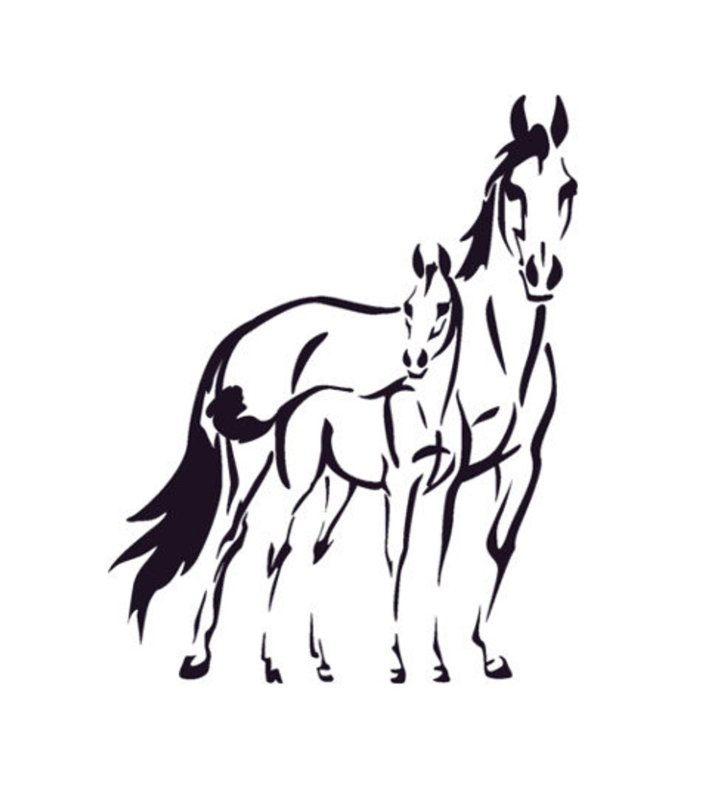 Силуэт лошади