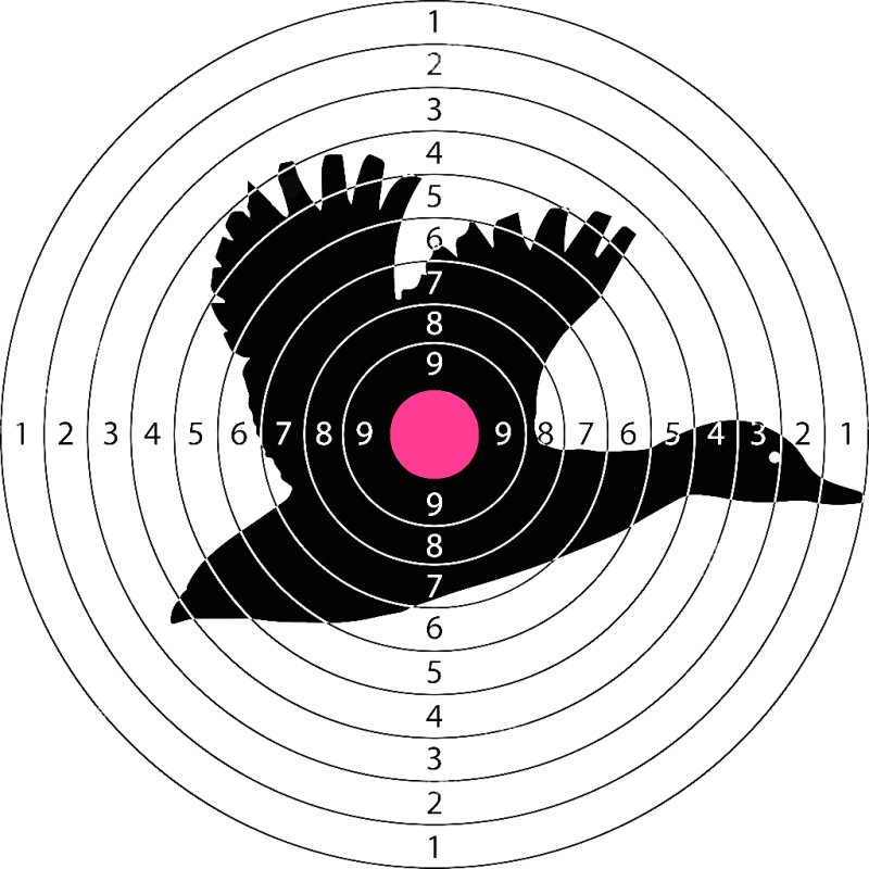 Мишень для пристрелки ружья 12 калибра