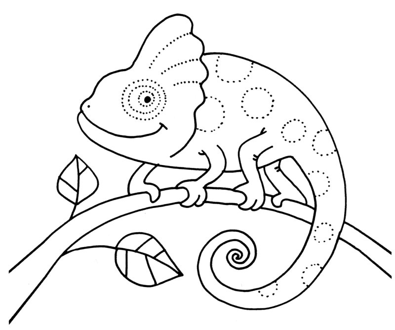 Рисунки для срисовки хамелеон