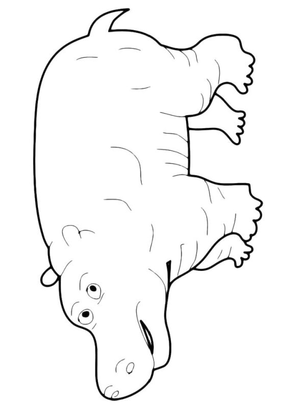 Трафарет бегемотика