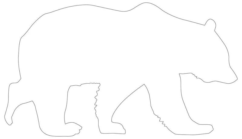 Контур медведя для рисования