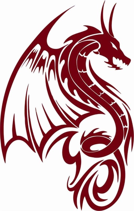 Тату дракона в стиле трайбл