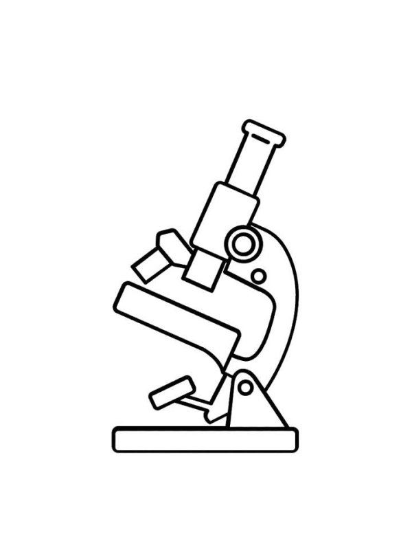 Световой микроскоп 5 класс биология рисунок