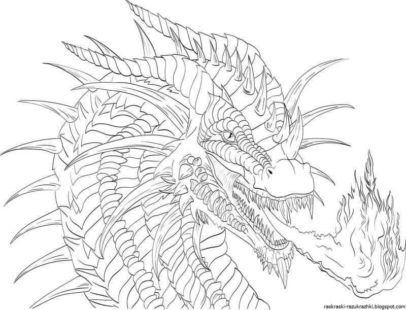 Раскраска драка