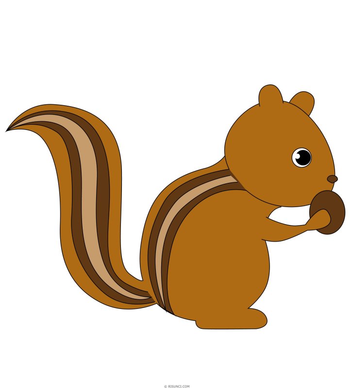 Бурундук рисунок для детей