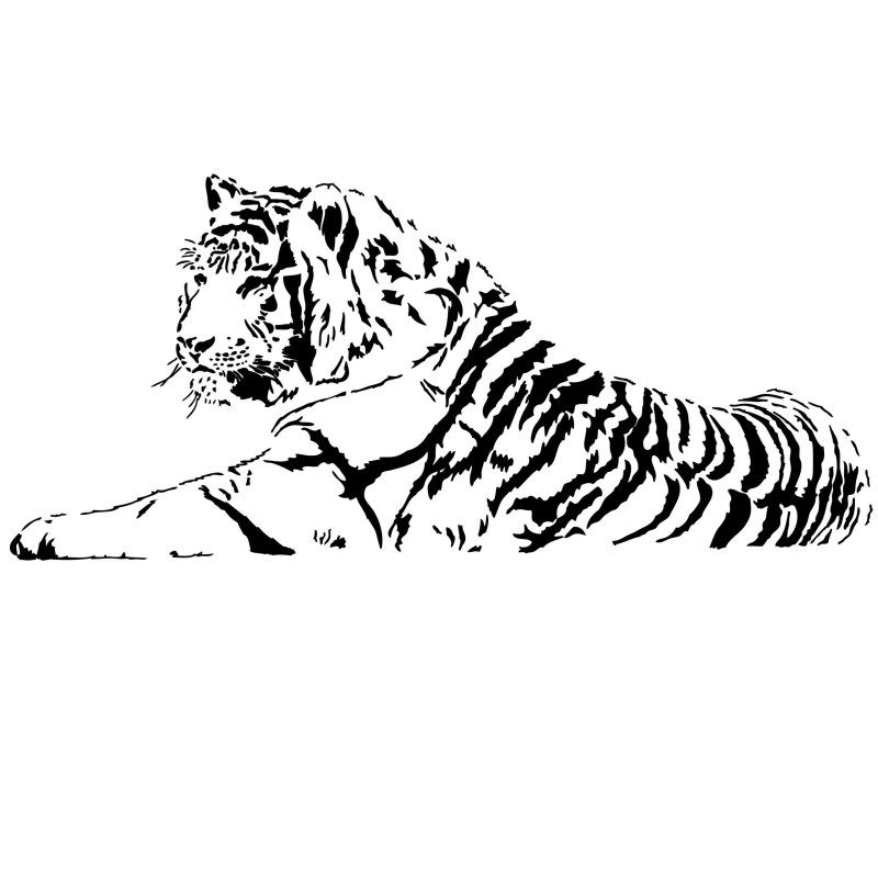 Очертания тигра