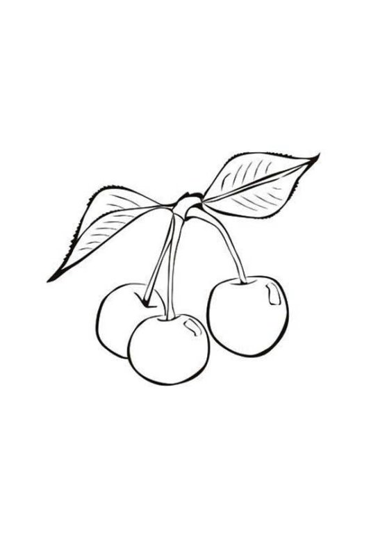 Вишенка раскраска для детей