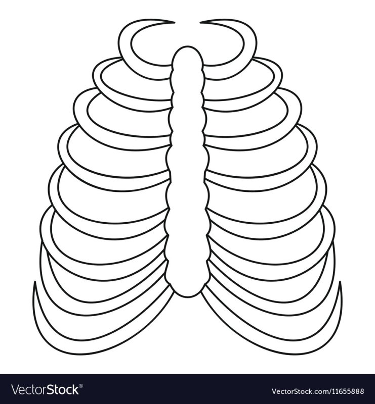 Кости для костюма