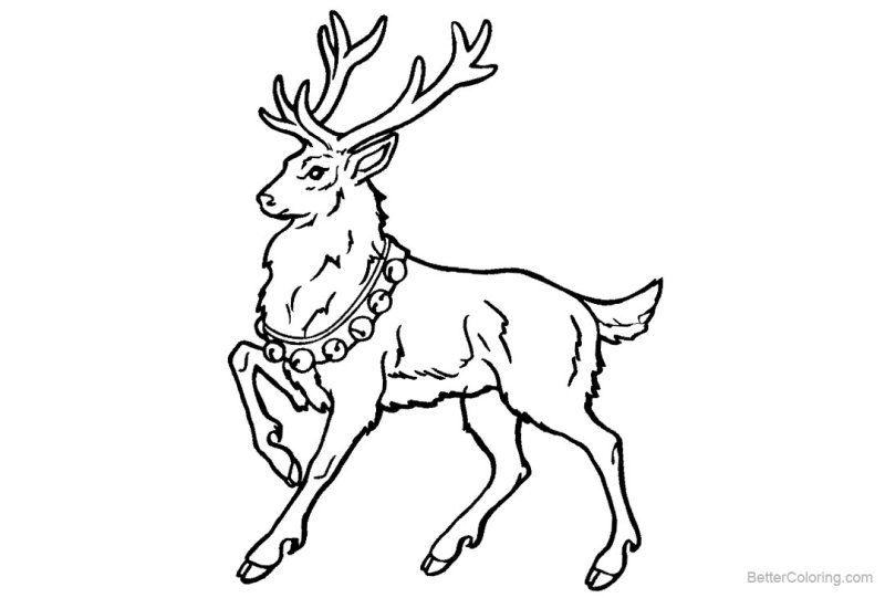Олень раскраска