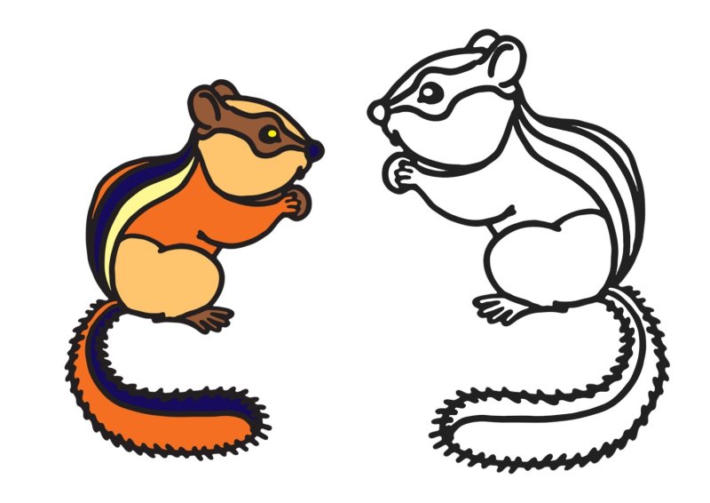 Бурундук рисунок