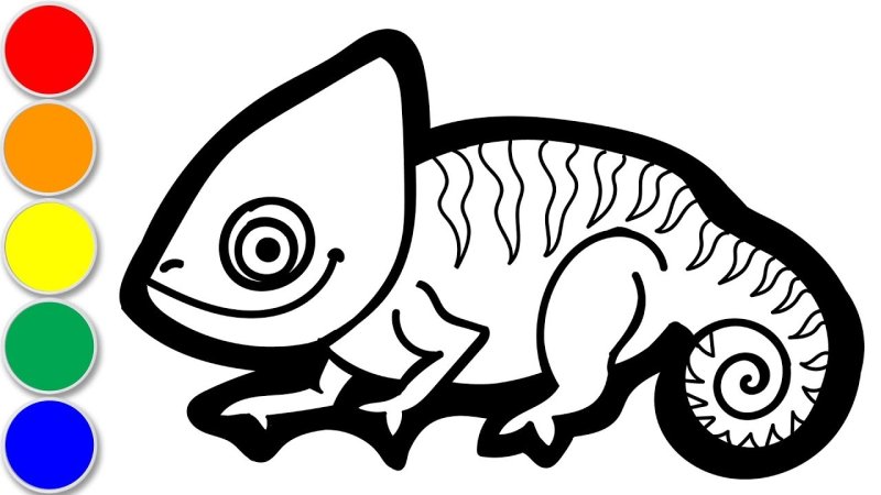 Хамелеон контур