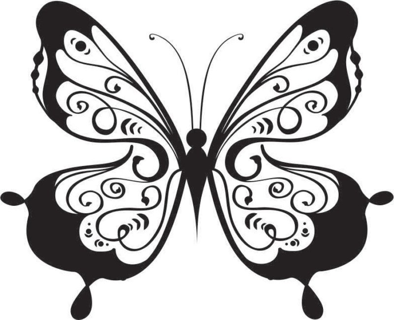 Трафарет бабочки для вырезания
