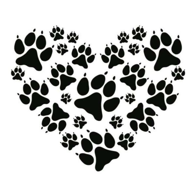 След собаки