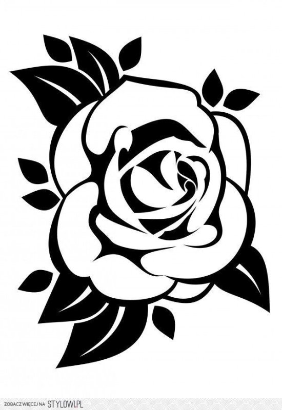 Черные и белые розы