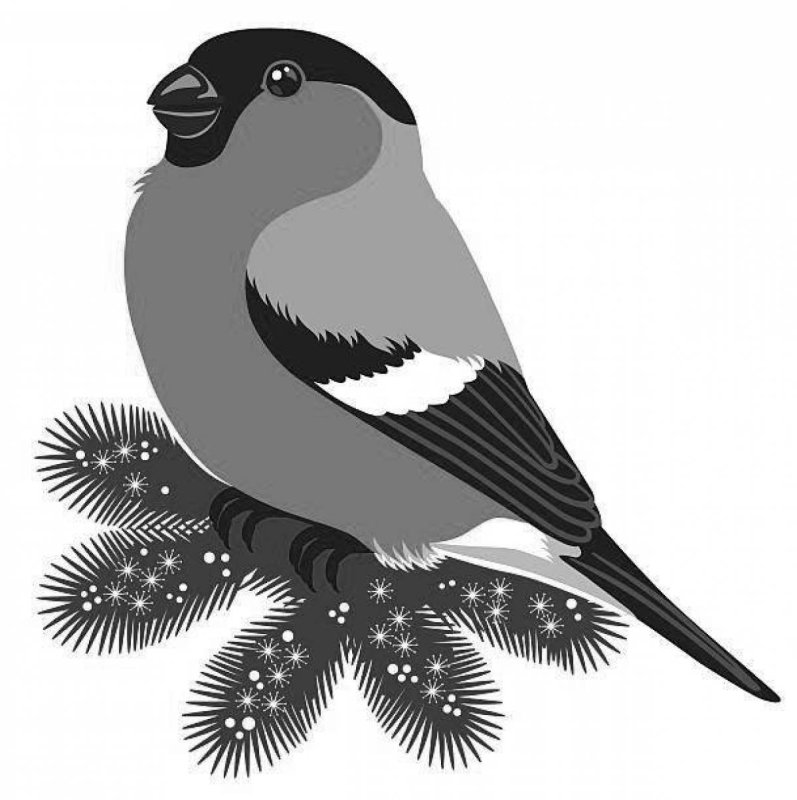 Силуэт снегиря