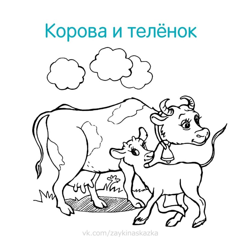 Раскраски животных для детей