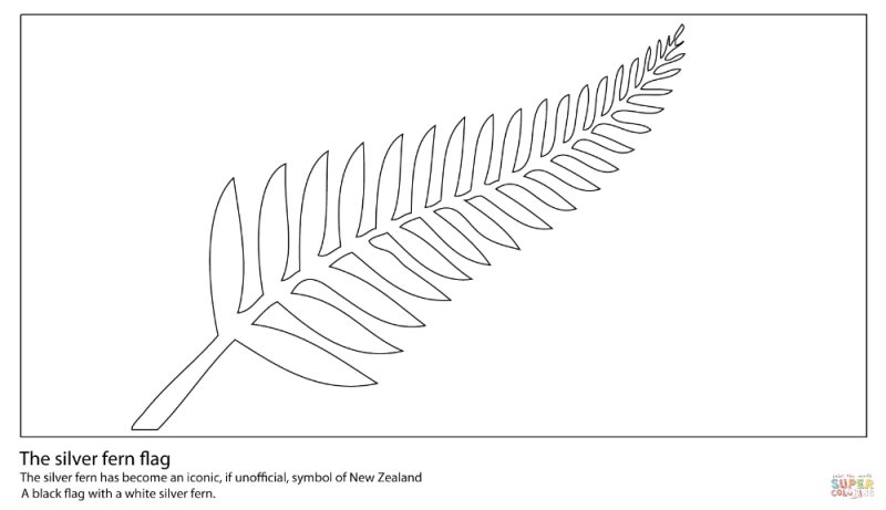 Папоротник раскраска