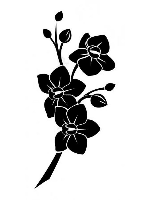 Трафареты цветов на стену