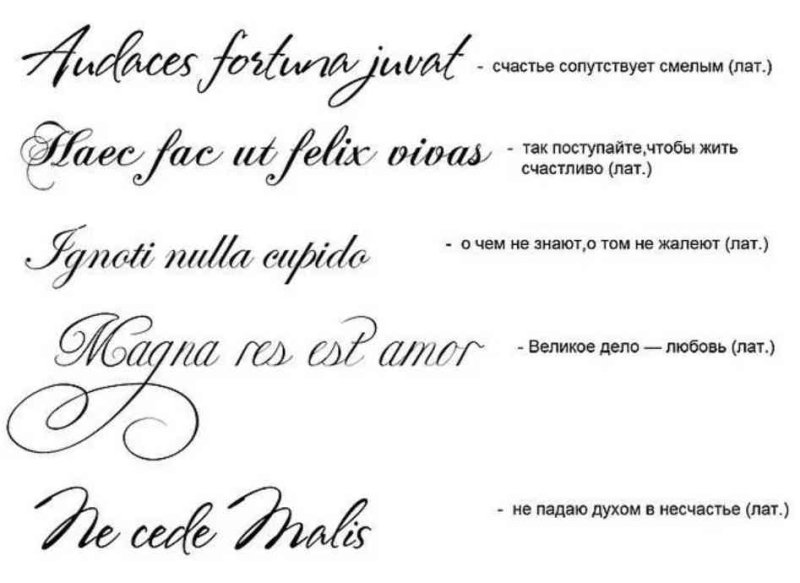 Татуировки латинские надписи с переводом