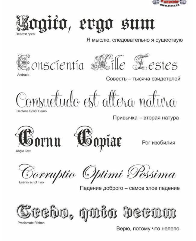 Надпись тату на руке для девушек со смыслом на латыни с переводом