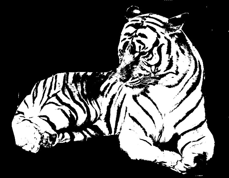 Тигр трафарет