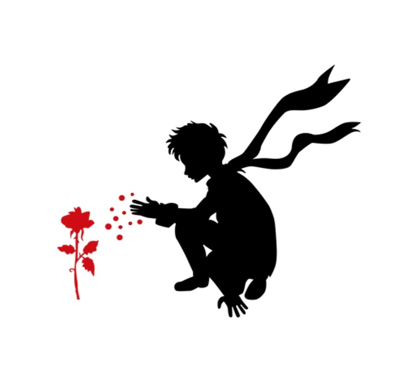 Маленький принц тень