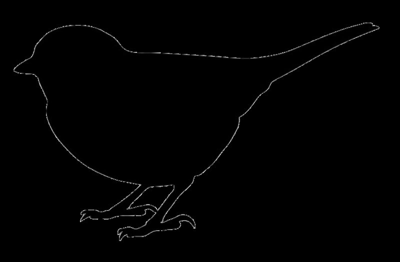 Силуэт синицы