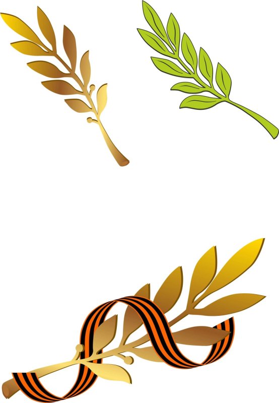 Лавровая ветвь 9 мая