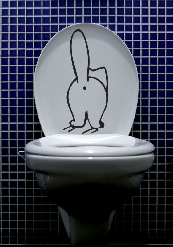 Прикольные крышки для унитаза