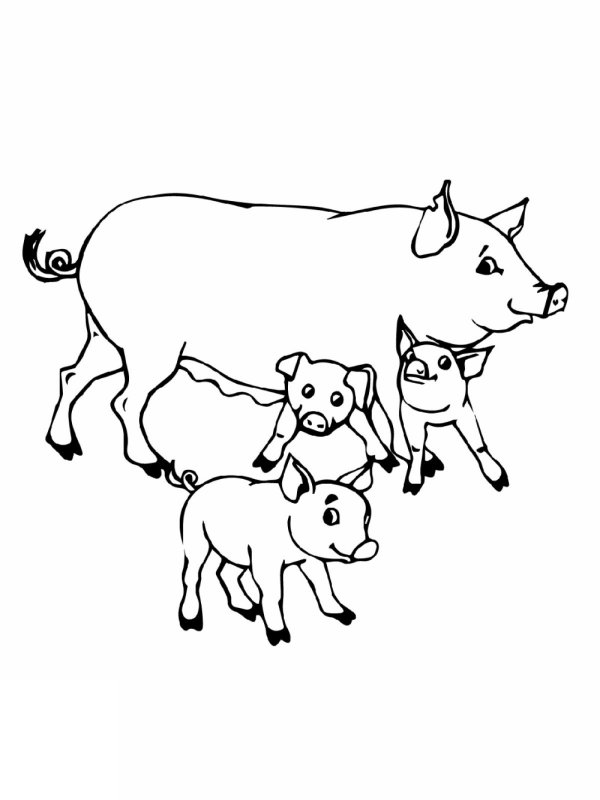 Поросенок раскраска