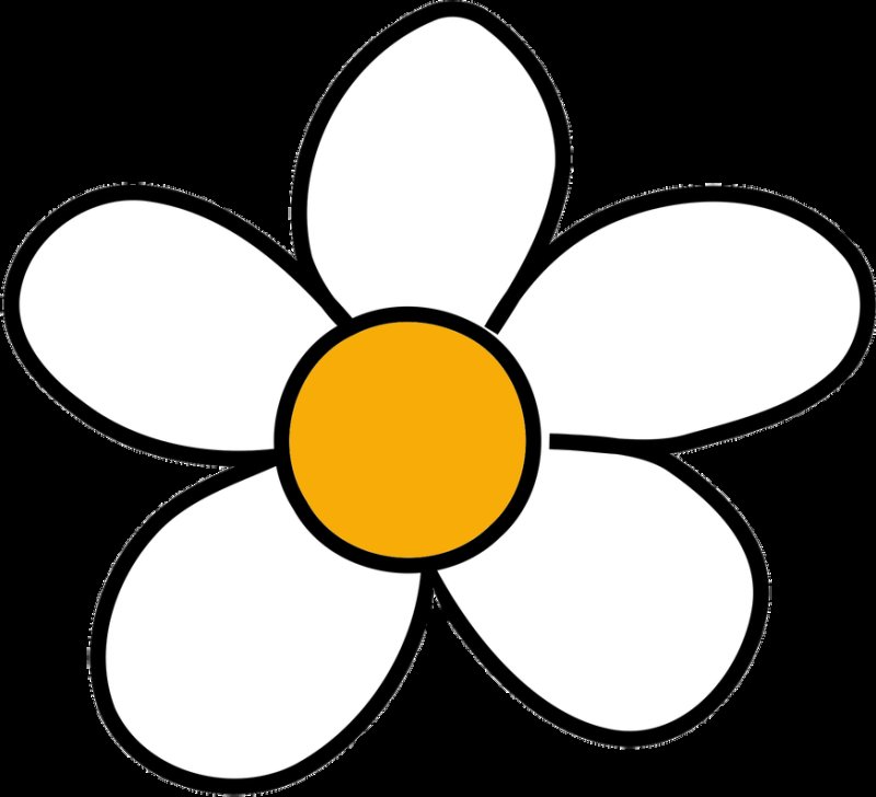 Цветок с 5 лепестками