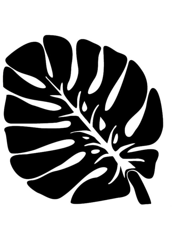 Monstera Leaf контур