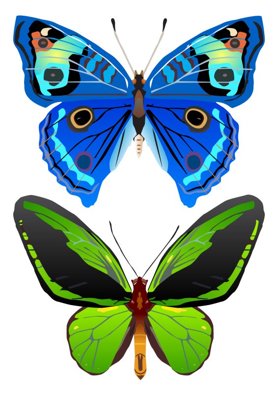 Яркие бабочки