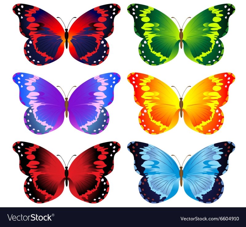 Трафареты цветные