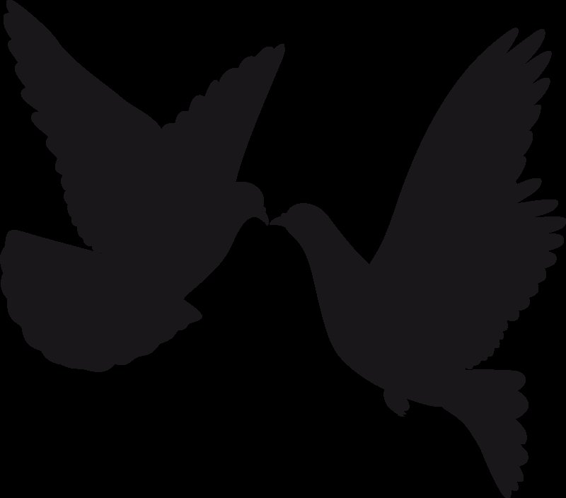 Силуэт голубя