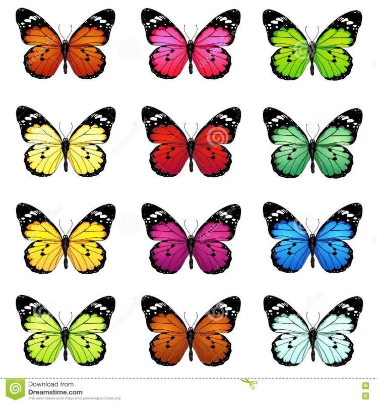 Бабочки для вырезания цветные