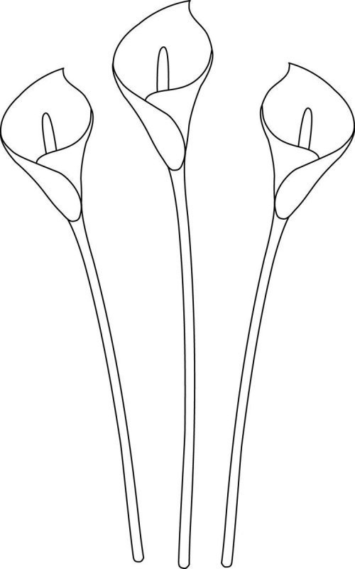 Эскиз тюльпана для вырезания
