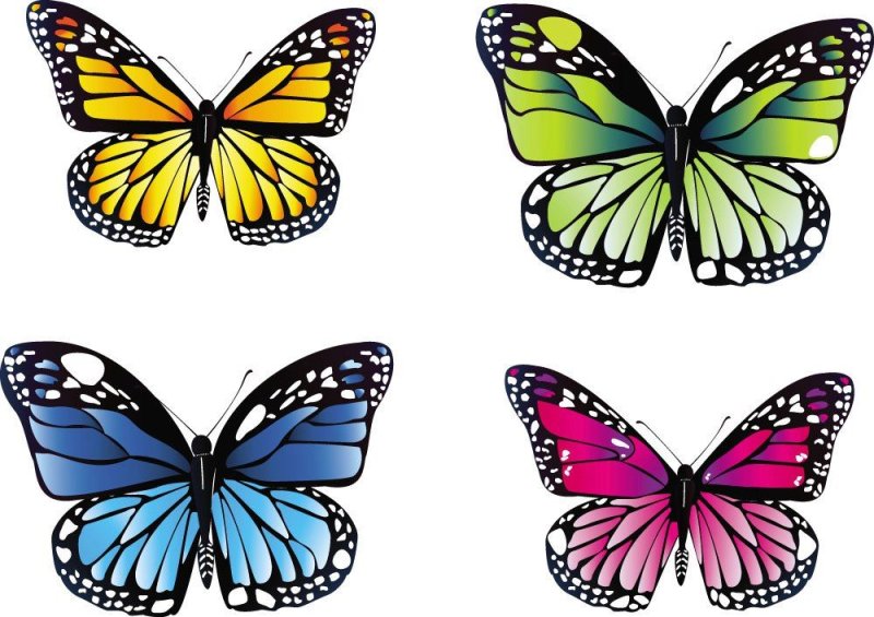 Бабочки для вырезания цветные