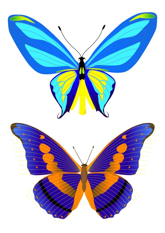 Разноцветные бабочки для вырезания