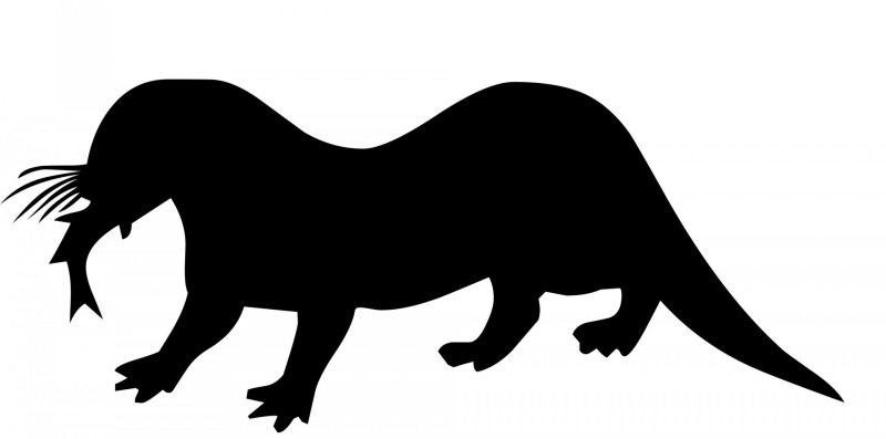 Выдра силуэт