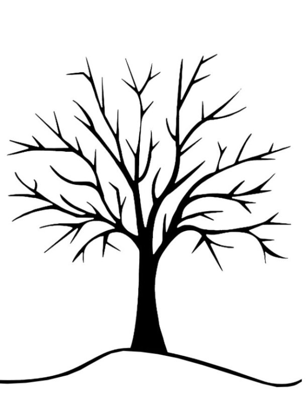 Дерево без листьев
