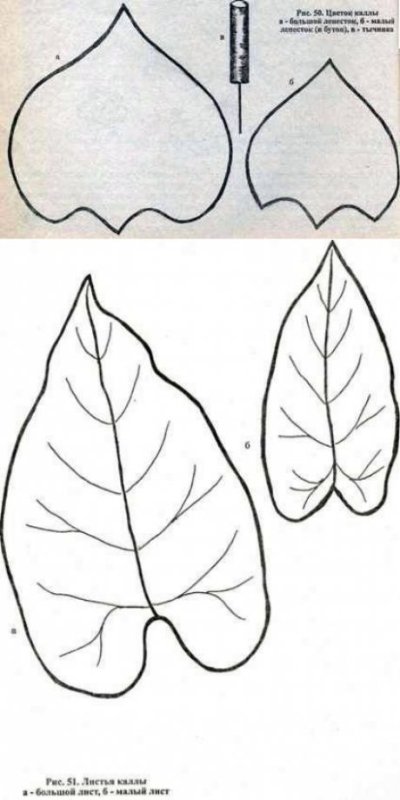 Листики лекала