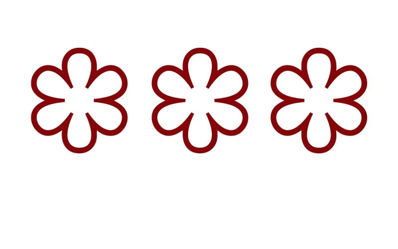 Звезда Мишлен вектор