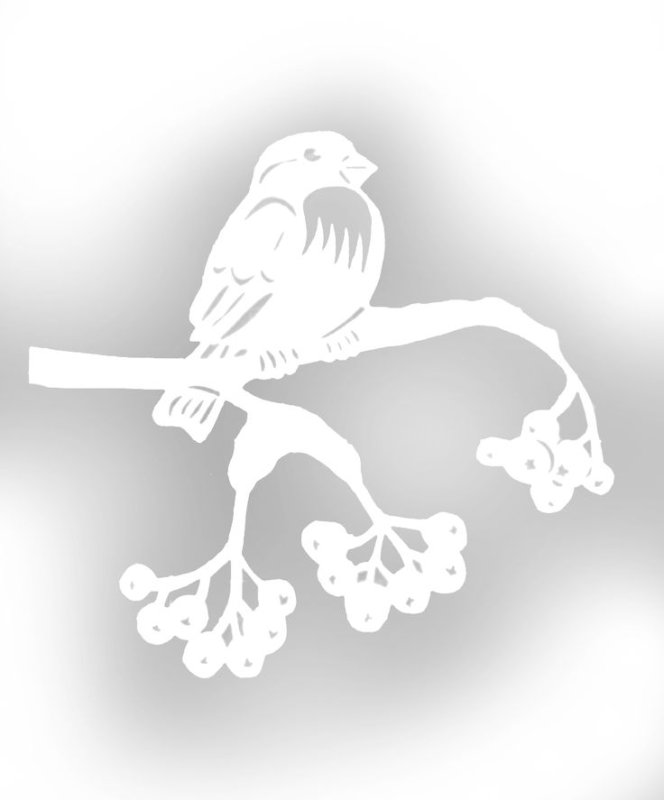 Вытанки птицы