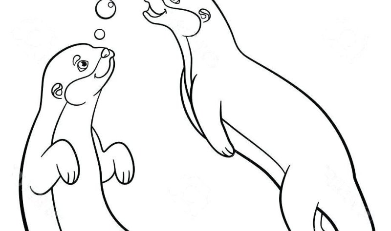 Выдра Речная