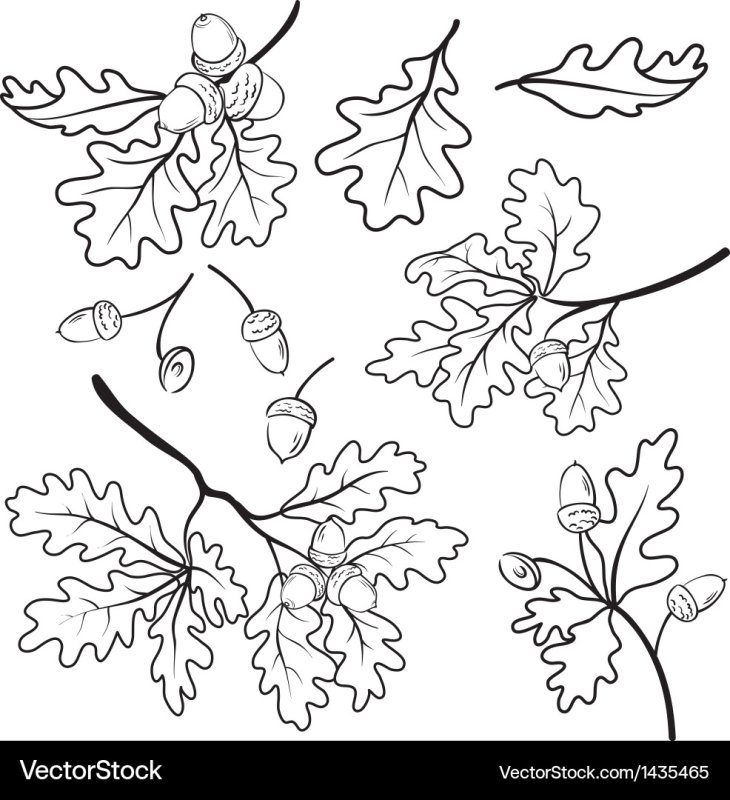 Дубовый лист трафарет для вырезания